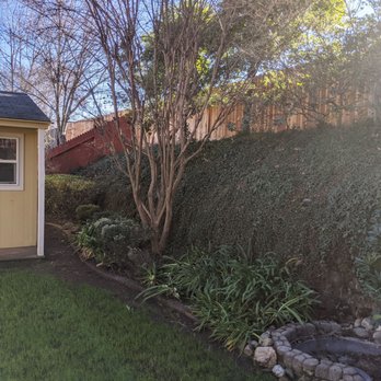 Granados Landscaping - a small garden with a shed - Landscaping Near Me - Sacramento, California