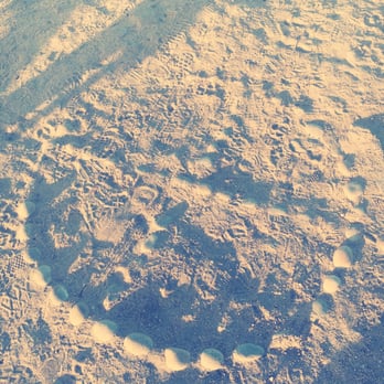 Lovers Point Park - Saw this in the sand at Lovers Point on my walk. - Parks Near Me - Pacific Grove, California Lovers Point Park - Saw this in the sand at Lovers Point on my walk. - Parks Near Me - Pacific Grove, California