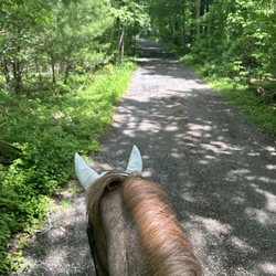 Three Painted Acres Dressage - Trails