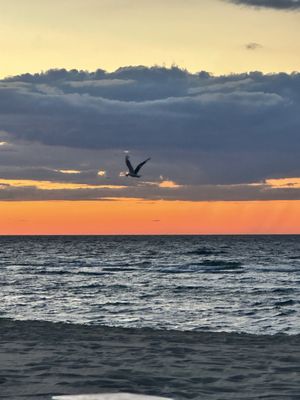 Galley Beach by null