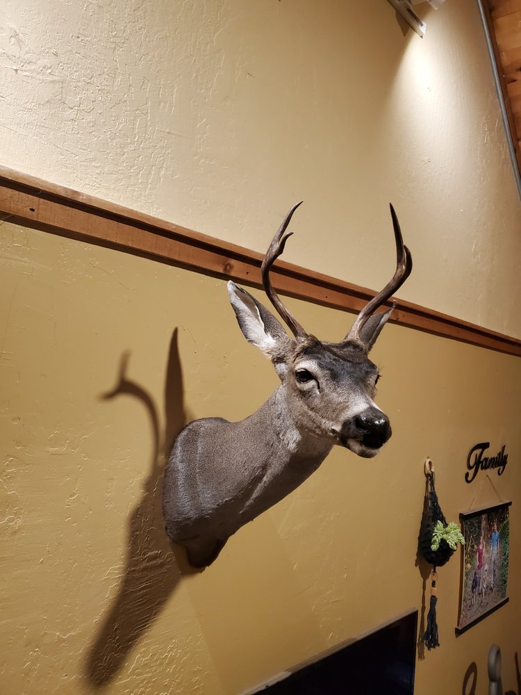 MOUNTS UNLIMITED TAXIDERMY Updated September 2024 49 Photos & 19