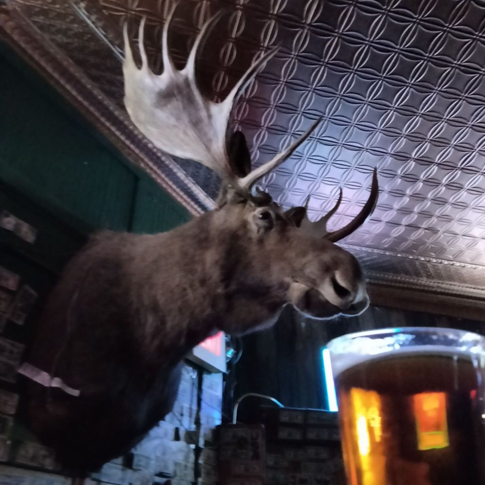Sultana Bar - Sharing my beer! - Dive Bars Near Me - Williams, Arizona Sultana Bar - Sharing my beer! - Dive Bars Near Me - Williams, Arizona