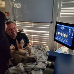 Florida Veterinary Cardiology