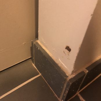 Aloft by Marriott Frisco - POOP ON THE WALL - Hotels Near Me - Frisco, Texas