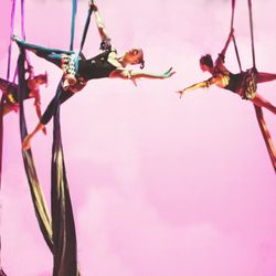 Host Of Sparrows Aerial Dance & Circus Arts