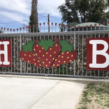 Harry’s Berries - Farmers Market Near Me - Oxnard, California Harry’s Berries - Farmers Market Near Me - Oxnard, California