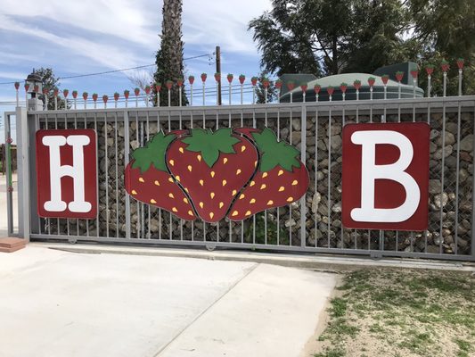 Harry's Berries by null