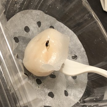 King Kee - Bug in shrimp dumpling - Cantonese Near Me - San Francisco, California