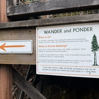 Sonoma Zipline Adventures - Info - Tours Near Me - Occidental, California Sonoma Zipline Adventures - Info - Tours Near Me - Occidental, California