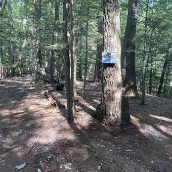 Bog Walk - Sign posted for the bog... take the slight right to head towards bog.... Straight brings your to someone's backyard - Hiking Near Me
