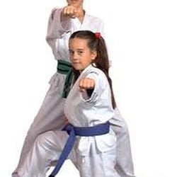 Mountain View Karate - phoenix karate