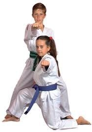 Mountain View Karate Logo