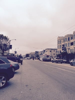 Laurel Heights by null