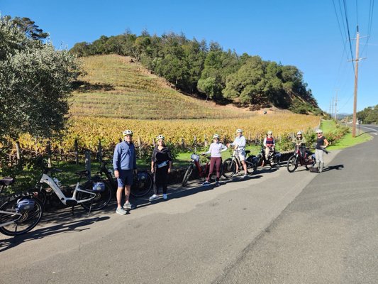 Napa Valley Bike Tours & Rentals by null