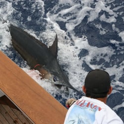 Northern Lights Sportfishing