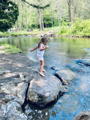 Saratoga Spa State Park by null