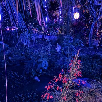Harry P Leu Gardens - Venues & Event Spaces Near Me - Orlando, Florida Harry P Leu Gardens - Venues & Event Spaces Near Me - Orlando, Florida