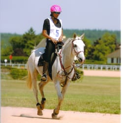Magic Poney