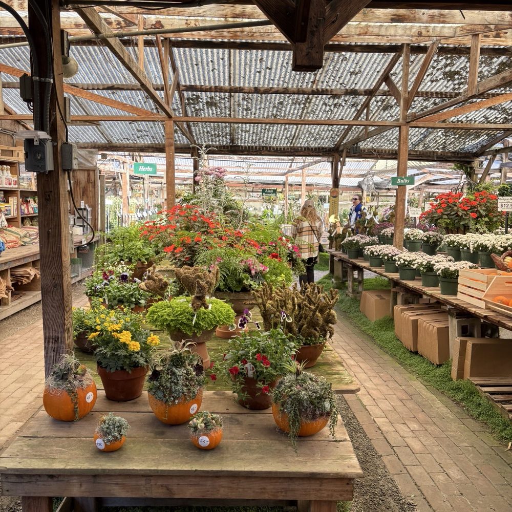 Half Moon Bay Nursery - Nurseries & Gardening Near Me - Half Moon Bay, California