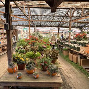 Half Moon Bay Nursery - Nurseries & Gardening Near Me - Half Moon Bay, California Half Moon Bay Nursery - Nurseries & Gardening Near Me - Half Moon Bay, California