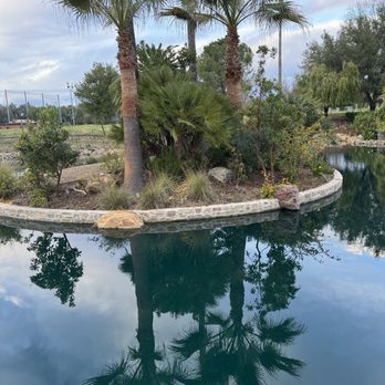 THE STONEHAUS - Updated August 2024 - 1635 Photos & 1412 Reviews