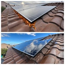 Reflections Solar Cleaning & Bird Proofing
