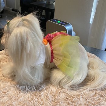 Moco Pet Grooming & Spa - Pet Groomers Near Me - Tustin, California Moco Pet Grooming & Spa - Pet Groomers Near Me - Tustin, California