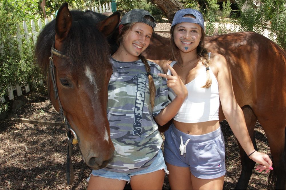 Barking Elf Ranch - equestrian in Escondido, CA