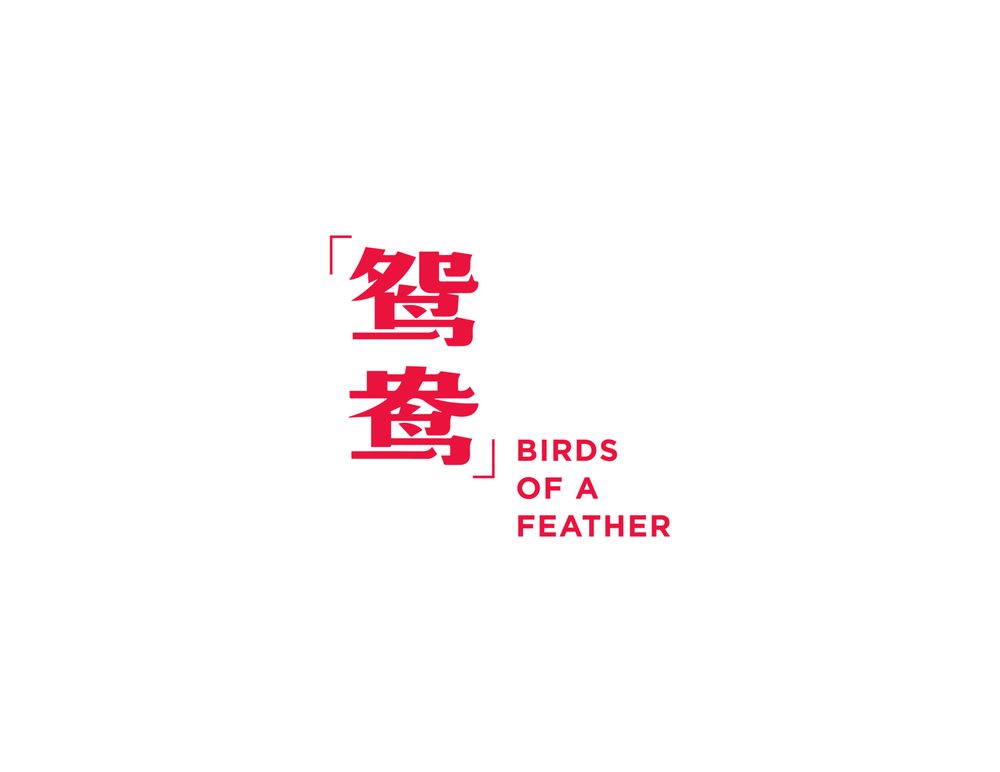 Birds of a Feather