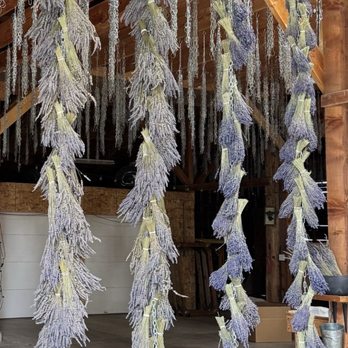 B & B Family Farm - Walking Tours Near Me - Sequim, Washington