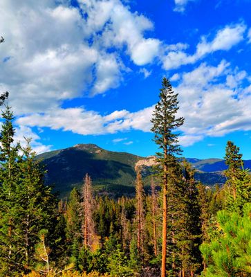 Rocky Mountain National Park by null