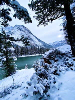 Banff National Park by null