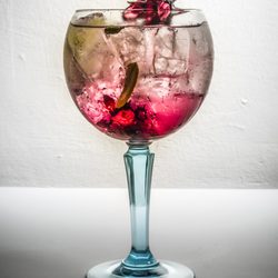 Txokoa - Gin Tonic