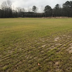Sandhills Farm Park