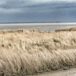 Strand von Dangast