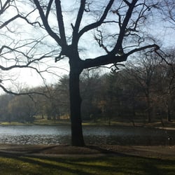 Duck Pond - View of pond