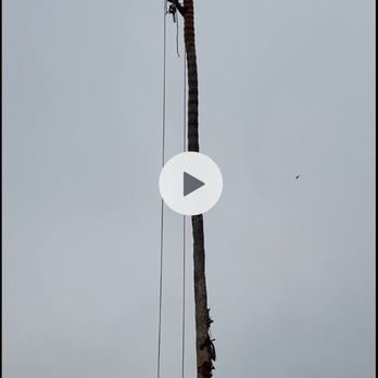 4 Seasons Tree Services - Tree Services Near Me 4 Seasons Tree Services - Tree Services Near Me