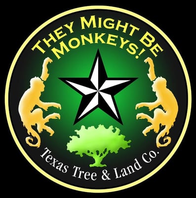 They Might Be Monkeys