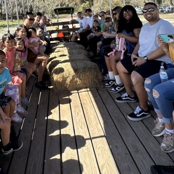 Old McMicky's Farm - Venues & Event Spaces Near Me - Odessa, Florida Old McMicky's Farm - Venues & Event Spaces Near Me - Odessa, Florida