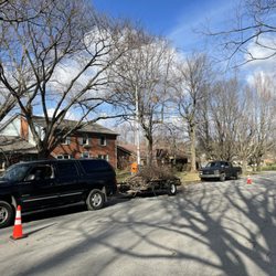 Complete Tree Service & Landscaping
