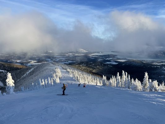 Schweitzer by null