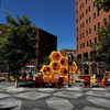 16th Street gift card