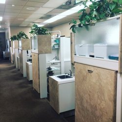 Plumb Dental - We have 12 patient rooms to work out of. This helps us accommodate many patients at once.