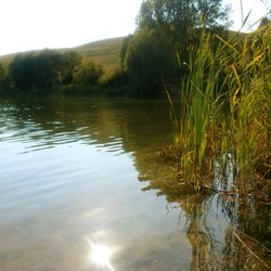 Baggersee Arkenberge