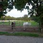 Photo of RSZ Wiener Neudorf