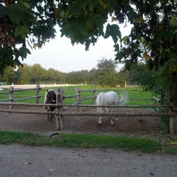 RSZ Wiener Neudorf