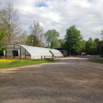 C S & S Landscape - a large greenhouse in the middle of a gravel road - Farms Near Me - Cleveland, Mississippi C S & S Landscape - a large greenhouse in the middle of a gravel road - Farms Near Me - Cleveland, Mississippi