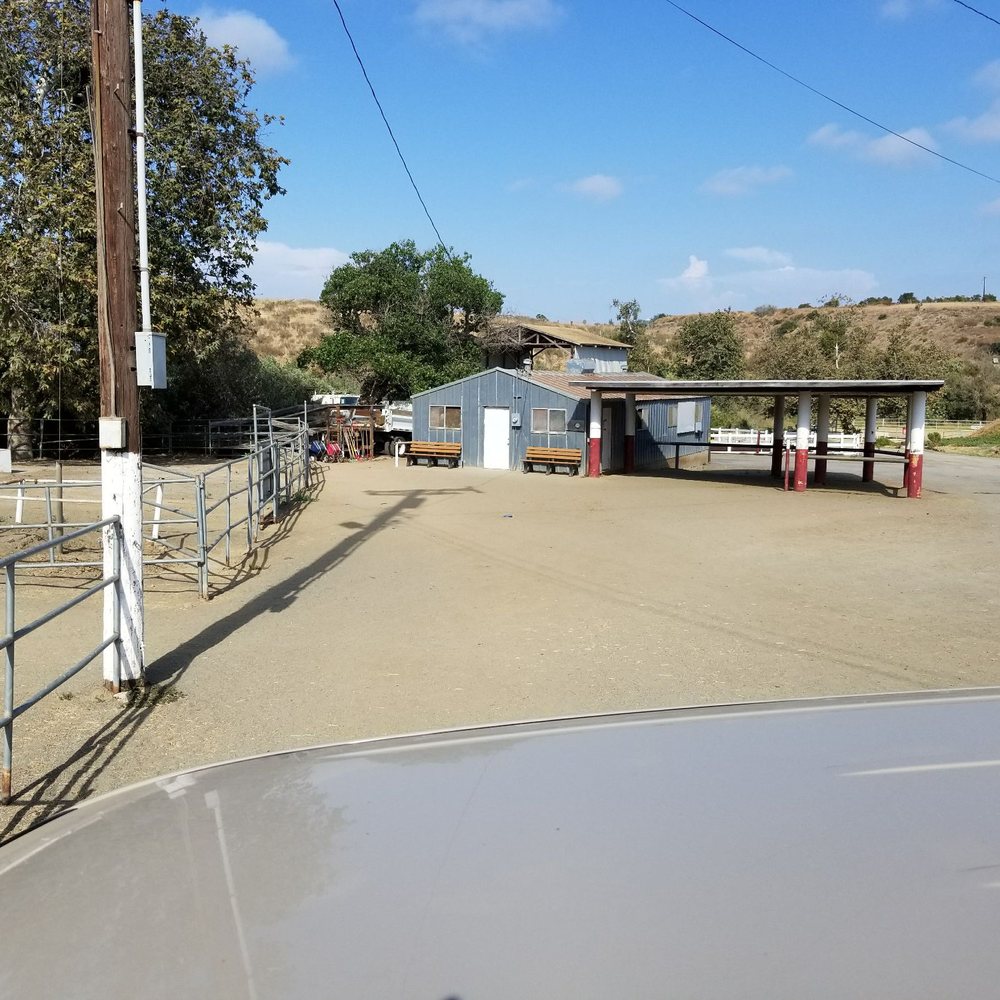 Best barn around! Best barn around!