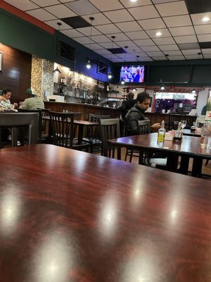 Pines of Florence by null