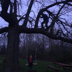 Eagle Ridge RV Park - Tree swing by the pond.